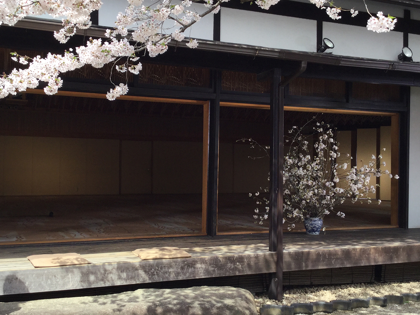 3月15日リニューアルオープン決定!