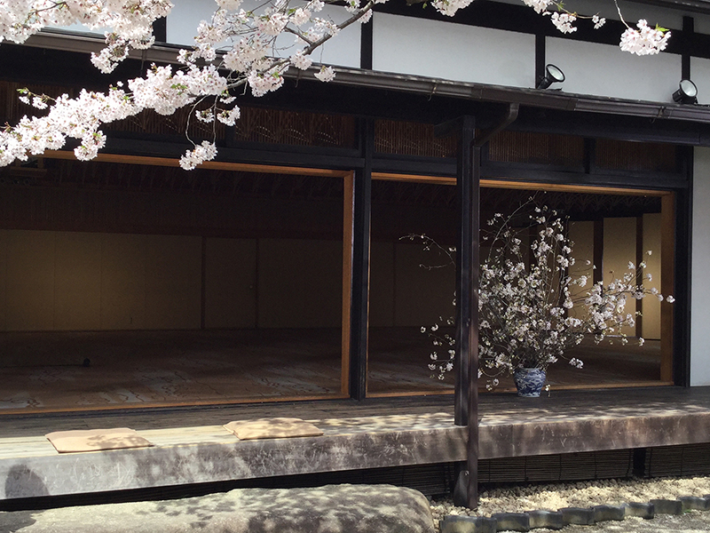 3月15日リニューアルオープン決定!