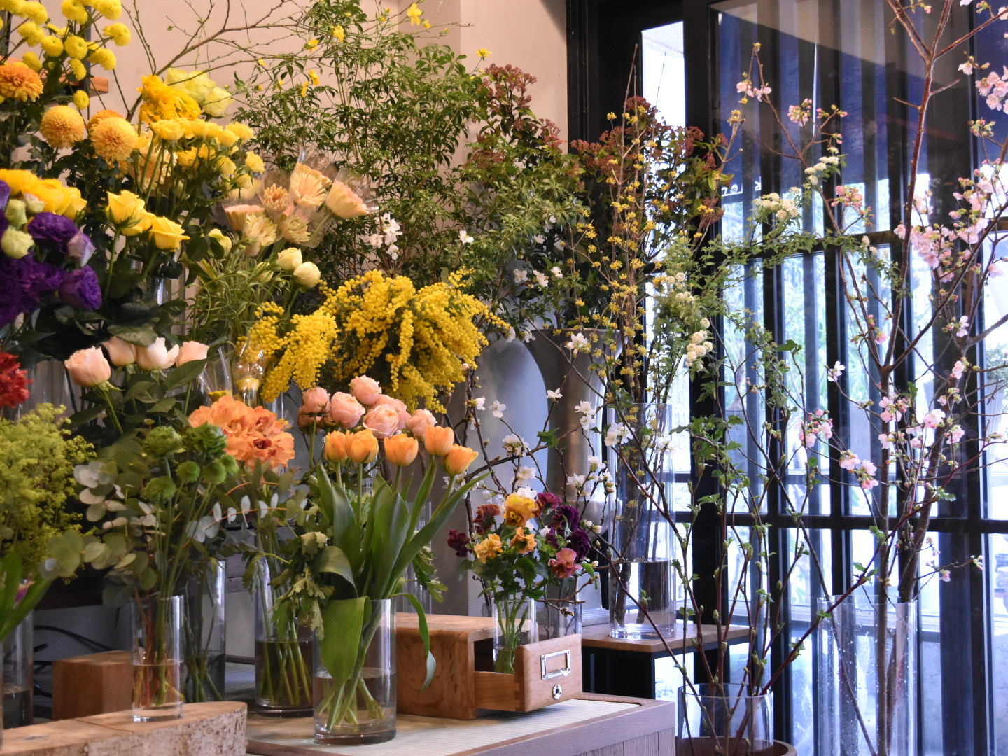 3月15日リニューアルオープン決定!